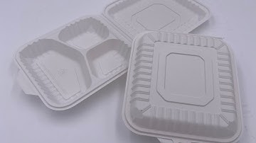 Disposable Takeout Clamshell Fast Food Container Box Making Automatic Thermoforming Machine Line