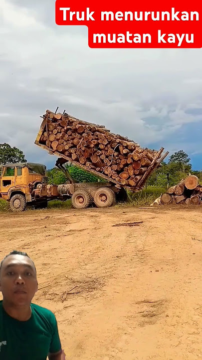 Beginilah cara Truk besar menurunkan muatan kayu bukan mobil mobilam #shortvideo #shorts #truck