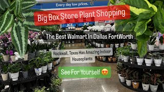Big Box Store Plant Shopping Walmart Biggest Indoor and Outdoor Plant Selection Costa Farms Plants