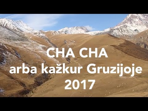 Video: Kaip Ir Kur Gerti Chacha Gruzijoje