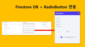 [플러터플로우FlutterFlow_중급_44편] 라디오버튼 위젯에 DB데이터 연결하기 !! firestore DB + radio button widget