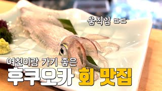 후쿠오카 고급 오징어 맛집 카와타로! ㅣ 하남자 브이로그