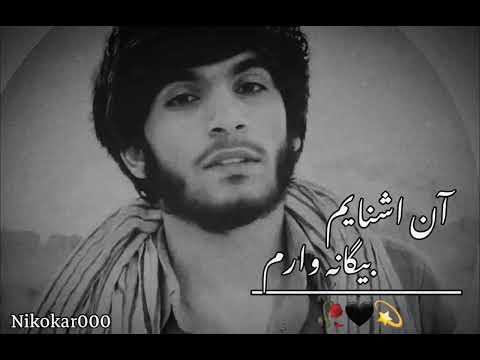 پهلوان رفیع گر یار یارم میشد چی میشد