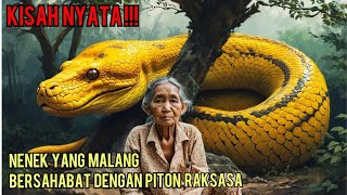 VIRAL !!!? KISAH NENEK YANG MALANG BERSAHABAT DAN DI TOLONG ULAR PITON RAKSASA