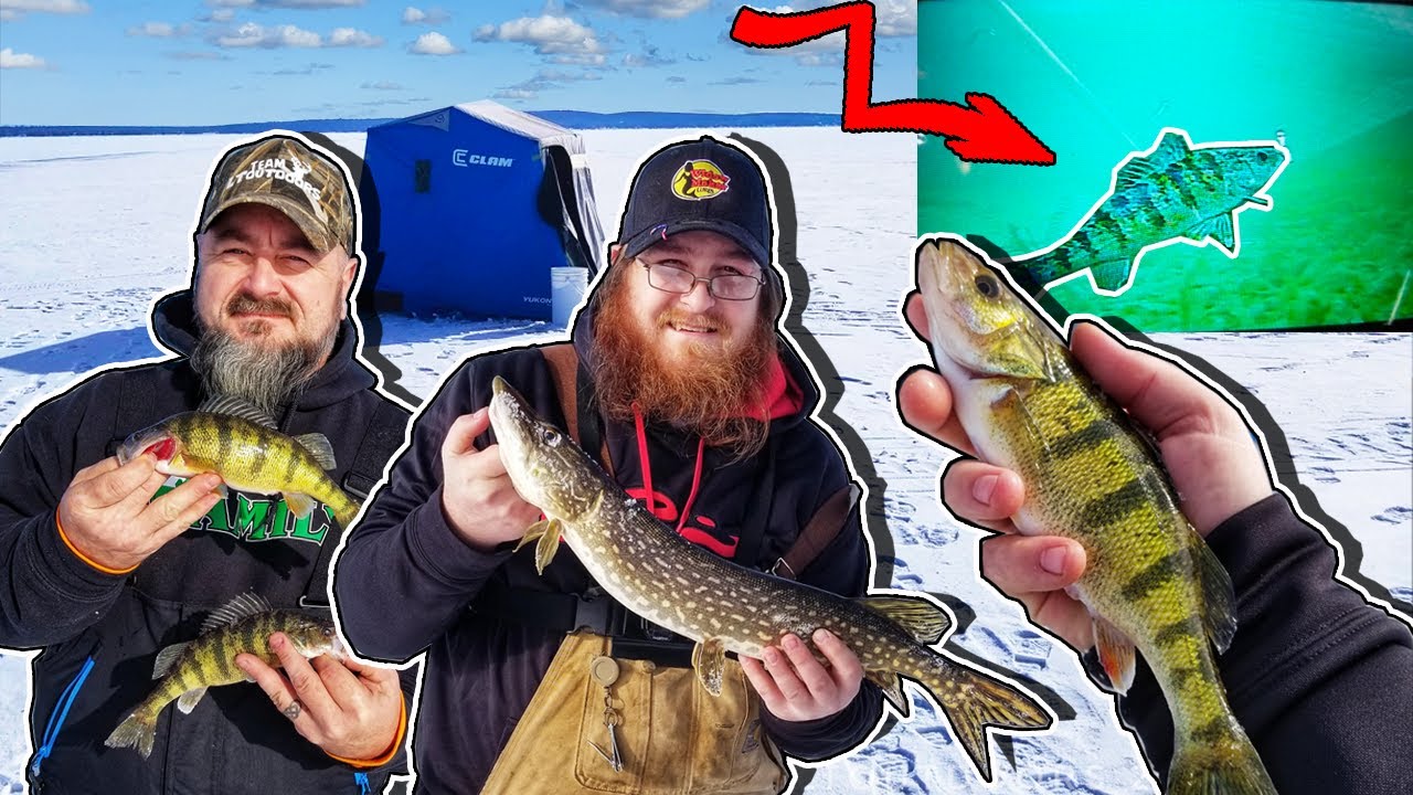 Ice Fishing Perch Fishing Burt Lake, Michigan🎣 YouTube