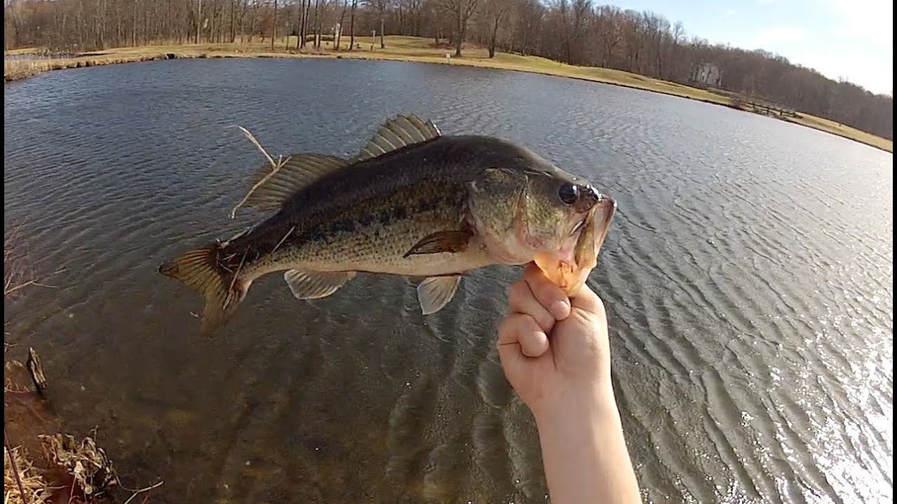 Early Spring Hair Jig Bass Fishing YouTube