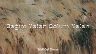 Sağim Yalan Solum Yalan - Anatolian Psychedelic Vibes (Cover)