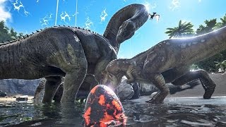 ホラフキンのサブチャンネルの人気動画 Youtubeランキング