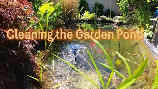 Cleaning the Garden Pond