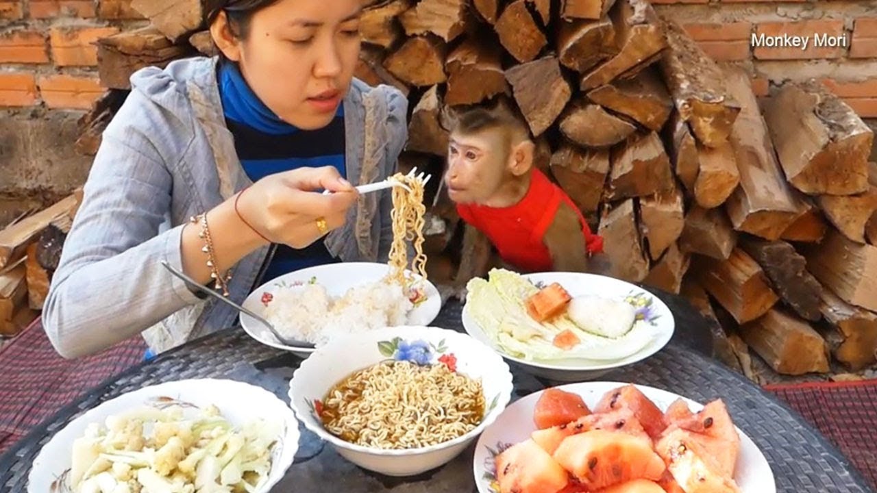 Monkey Baby Mori Invite Everyone To Join Lunch