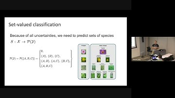 Pl@ntNet Under the Hood: AI Challenges for Large-scale Biodiversity Monitoring