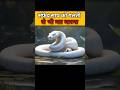 white snake in Islam #shorts #shortvideo #viralvideo #facts