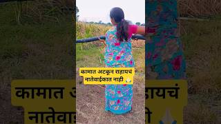 royal shetkari#royal#shetkari #farming#shorts#farmer #marathi#dialogue#yt #shortviral#vairal