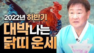 2022년 하반기에 대박나는 닭띠운세 (30세 42세 54세 66세 닭띠운세) 문서운,금전운,연애운