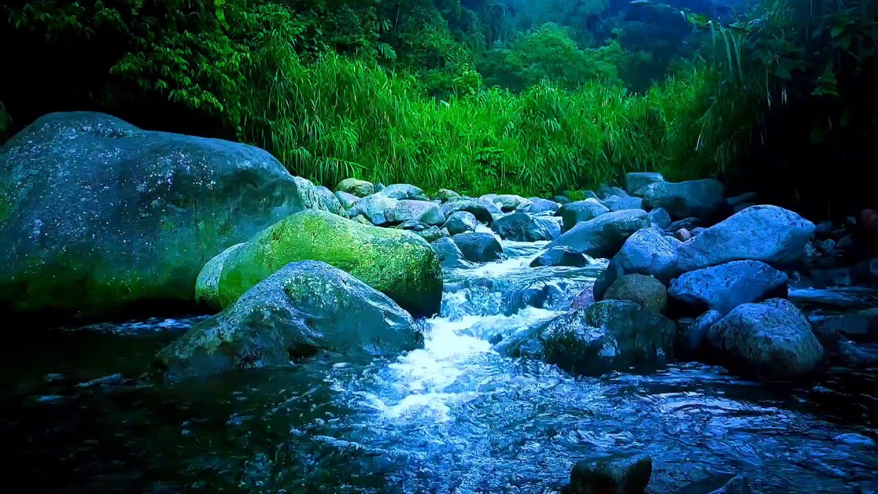 🌊 Gentle Rainfed River ASMR Sounds for Deep Sleep, Relaxation & Stress Relief