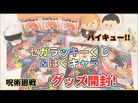 ハイキュー!! 呪術廻戦　缶バッジ　15BOXセット　新品未開封 呪術廻戦PLAZA Chair:White 乙骨憂太・禪院真希 缶バッジ - メルカリ