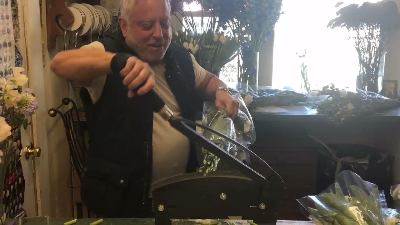 Fresh Flower Stem Cutter How to properly cut Fresh Flowers (Roses