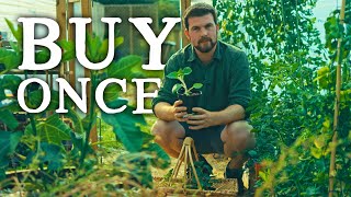 Crops to Plant Once &amp; NEVER Buy Again | Huw&#39;s Garden Diaries