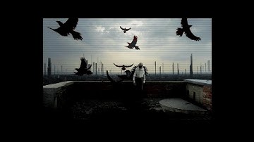 The Black Lotus "Starstruck (Final)" Amiga AGA Demo (Vampire 600 V2)