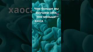 Наведи порядок внутри себя🔥#самопознание #личностноеразвитие #путьксчастью