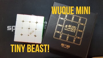 QiYi WuQue Mini M 4x4 Review: The Tiny BEAST [Feat. Patrick Ponce?]