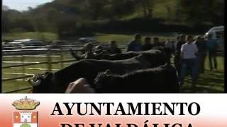 feria de san martin treceno 2015
