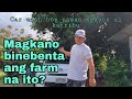 Car wash boy naman ngayon si Katribu. Magkano binebenta ang farm na ito?