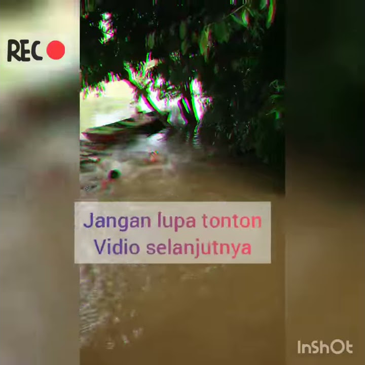 Vidio lucu kalbar