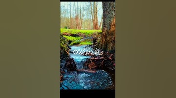 تلاوة هادئة لآيات من القرآن الكريم #تلاوة_خاشعة #المصحف #قران_كريم #القرآن الكريم راحة نفسية