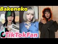 Bakeneko Leaks From His Laptop 特集【Bakeneko】【TikTok】