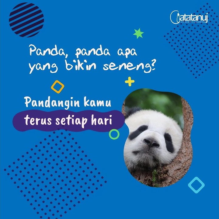 Story whatsapp 27 Tebak tebakan lucu cinta paling bikin gemes