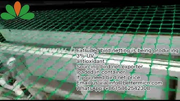 Extruded Bird Net, Green Grid Net, Anti bird and other Poultry