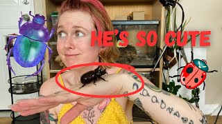 Unboxing the Cutest beetle EVER!