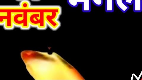 4 नवंबर 2025 चतुर्दशी तिथि मंगलवार के दिन 5 काली मिर्च बन जाओगे करोड़पति|Pradeep Ji Mishra