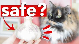 IS GARLIC GOOD FOR DOGS AND CATS? ‍⬛