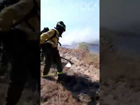 Estabilizado el incendio de Almonte junto a Doñana