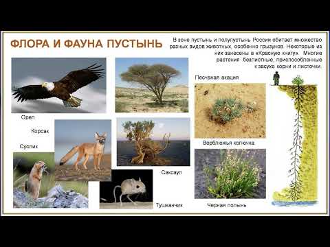 §48 "Южные безлесные зоны", География 8 класс, Полярная звезда