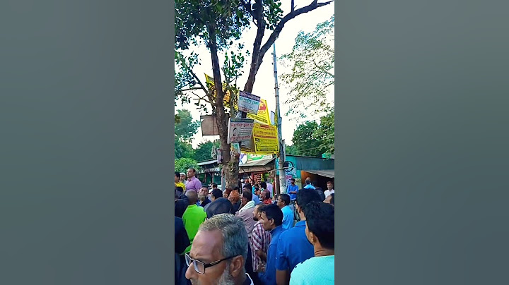 বাসাইলে বিএনপির আনন্দ মিছিল ও মিষ্টি বিতরণ