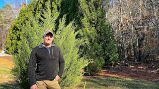 Spending the Day with Jerry | Gardening with Creekside