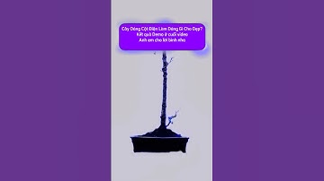 Demo Bonsai Cây Dáng Cột Điện #bonsai #bonsaitree #caycanh #tree #làmvườn