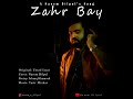 Zahr bay  naeem dilpul  cover song