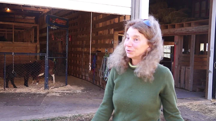 Elizabeth Wegmann-Horse Helpers