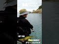 エギング #fishing
