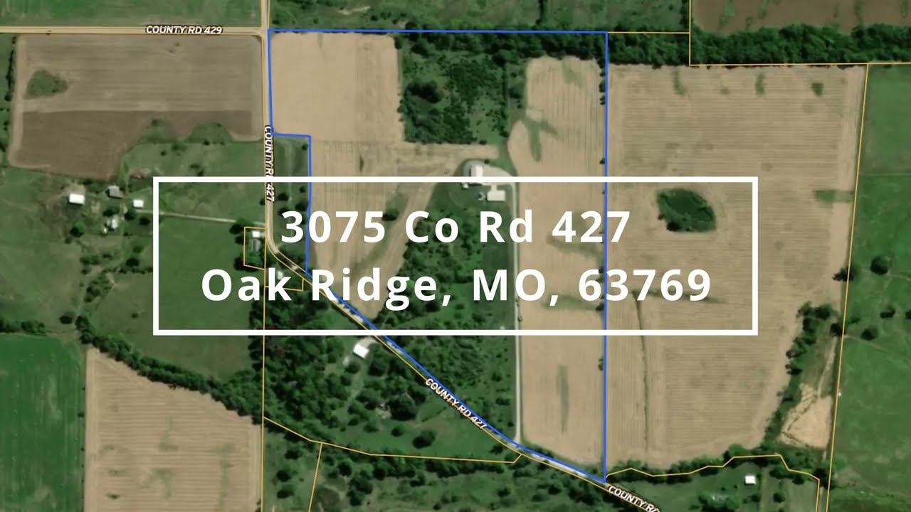 3075 Co Rd 427, Oak Ridge, MO