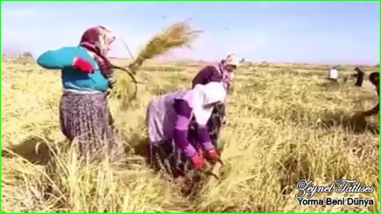 Zeynel Tatlıses / Yorma Beni Dünya