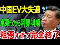 【中国EV完全終了】売上No1のEVに乗ったら阿鼻叫喚「日本では絶対に乗れない車」