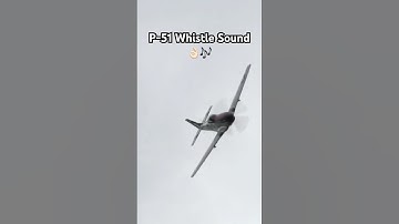 P-51 Mustang Whistle Sound 🎶 #shorts #aviation #viral