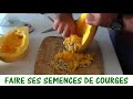 PRODUIRE SES GRAINES DE COURGES ET COURGETTES