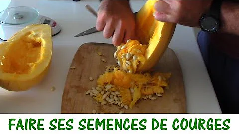 Quand planter les graines de courge ?