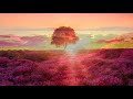 A Beautiful Sunset Story (HD1080p)